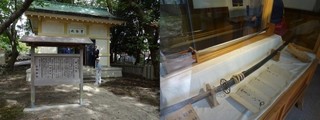 菊一文字1.jpg