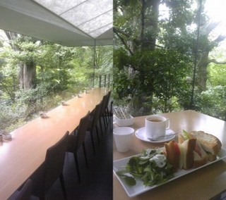 表参道 nezu cafe1.jpg